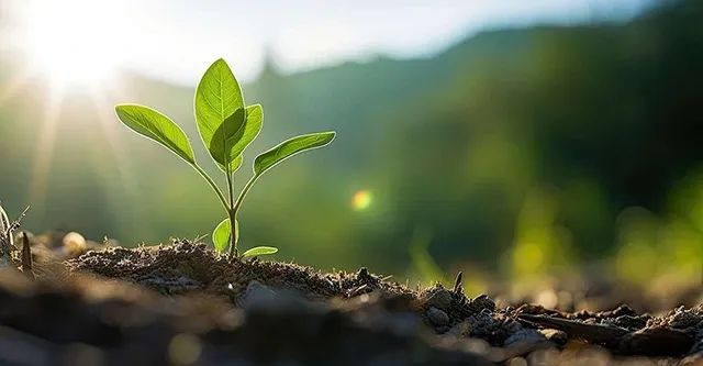 ОКРУЖАЮЩАЯ СРЕДА